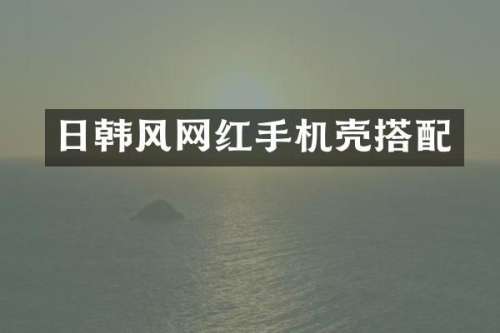 日韩风网红手机壳搭配
