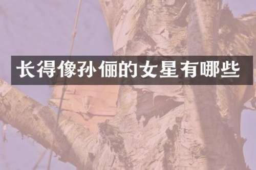 长得像孙俪的女星有哪些