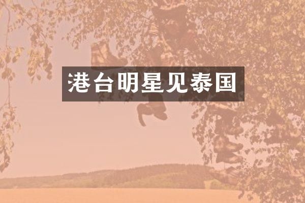 港台明星见泰国