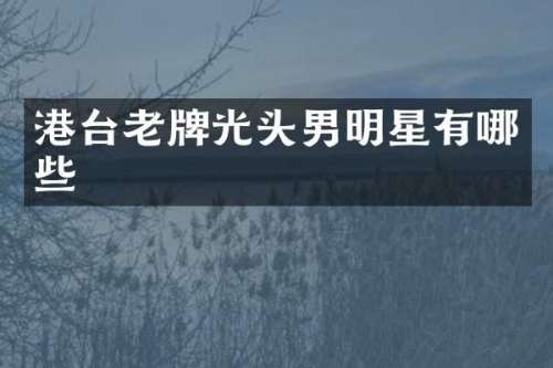 港台老牌光头男明星有哪些