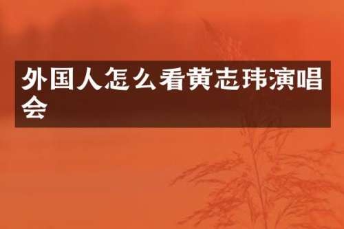 外国人怎么志玮演唱会