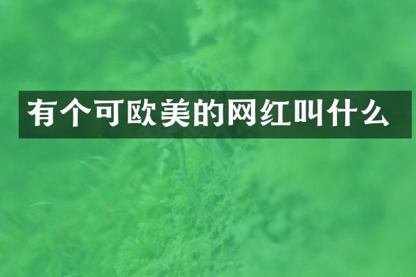 有个可欧美的网红叫什么