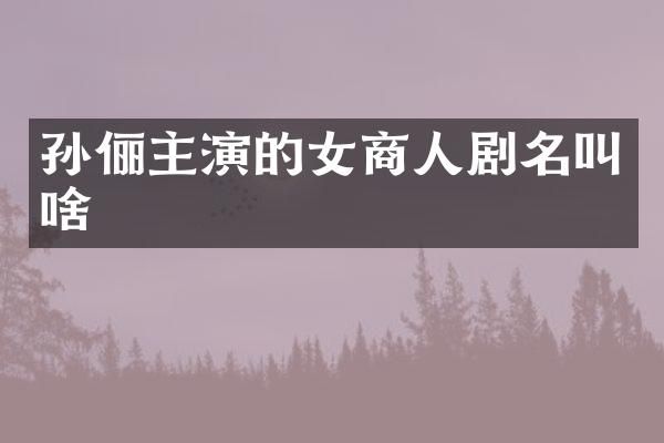 孙俪主演的女商人剧名叫啥