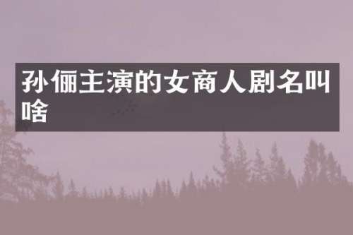 孙俪主演的女商人剧名叫啥