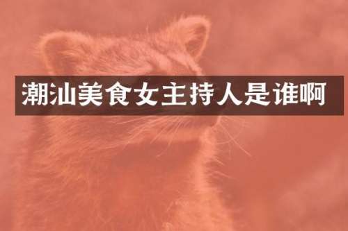 潮汕美食女主持人是谁啊