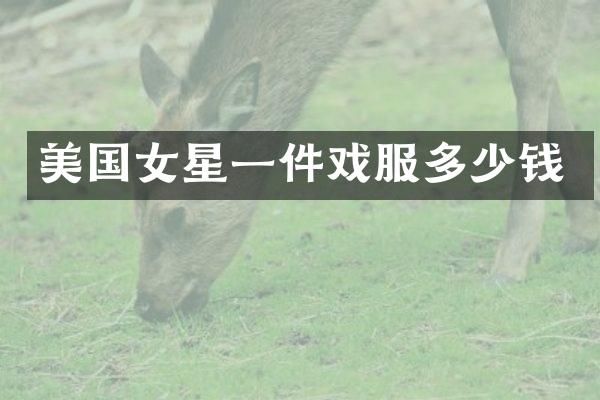 美国女星一件戏服多少钱