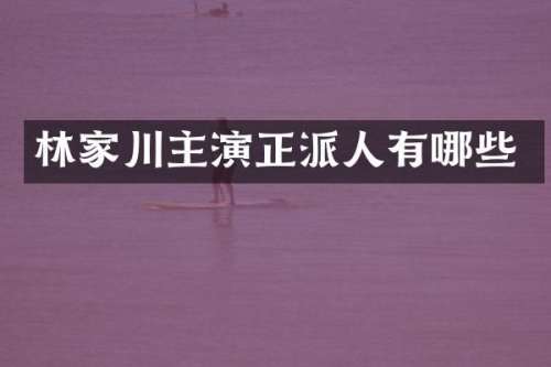 林家川主演正派人有哪些