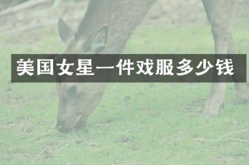 美国女星一件戏服多少钱