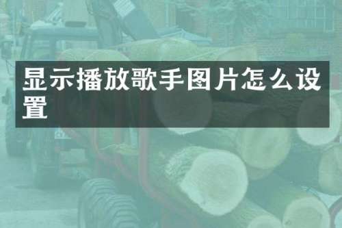 显示播放歌手图片怎么设置