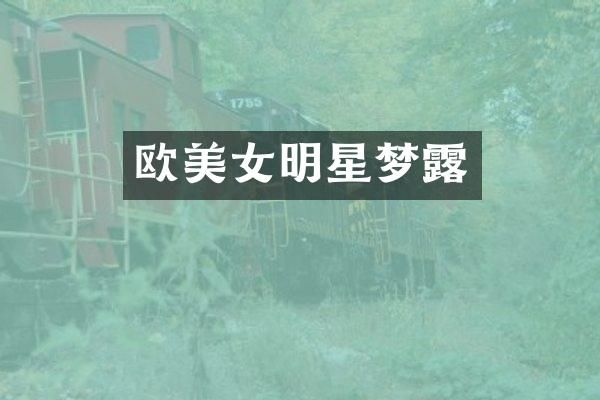 欧明星梦