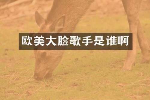 欧美大脸歌手是谁啊