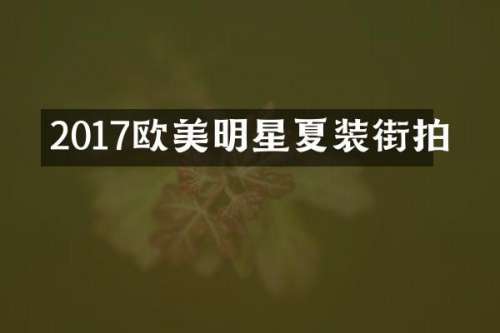 2017欧美明星夏装街拍