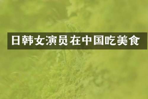 日韩女演员在中国吃美食