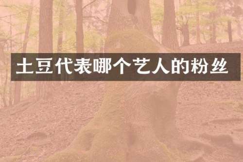 土豆代表哪个艺人的粉丝