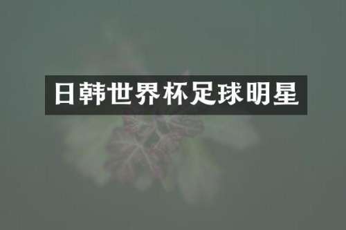日韩世界杯足球明星