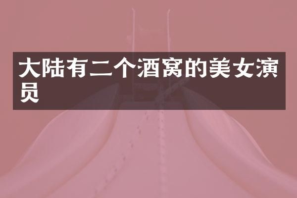 大陆有二个酒窝的演员