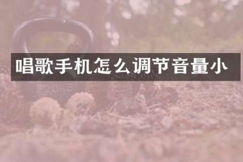 唱歌手机怎么调节音量小