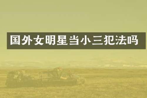 国外女明星当犯法吗