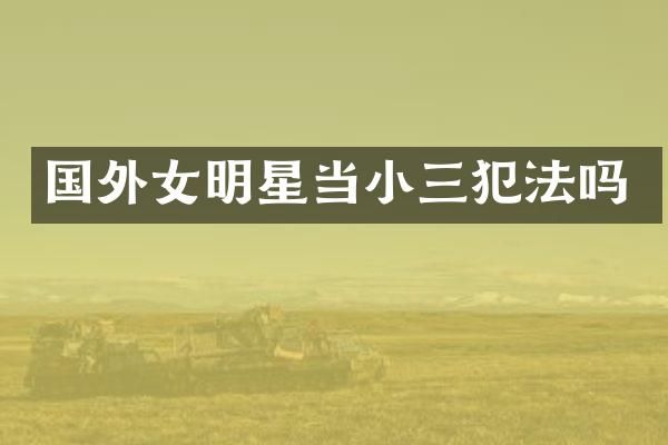 国外女明星当犯法吗