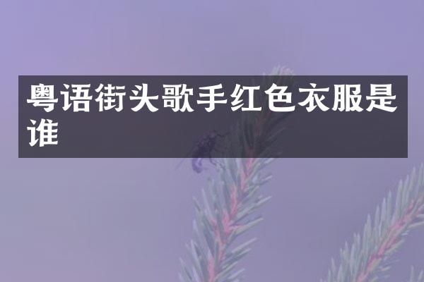 粤语街头歌手红色衣服是谁
