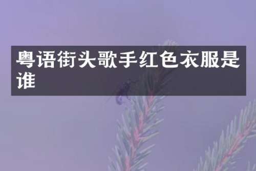 粤语街头歌手红色衣服是谁
