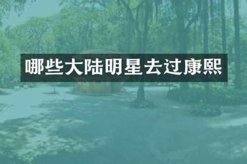 哪些大陆明星去过康熙