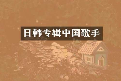 日韩专辑中国歌手