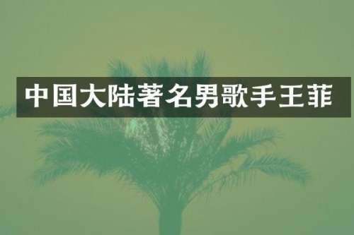 中国大陆著名男歌手王菲
