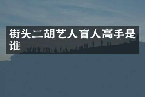 街头二胡艺人盲人高手是谁