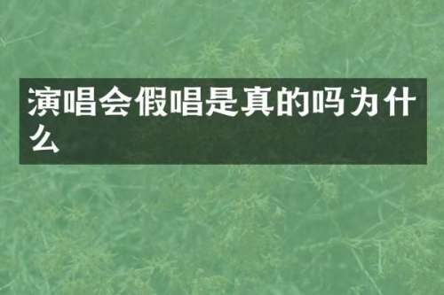 演唱会是真的吗为什么