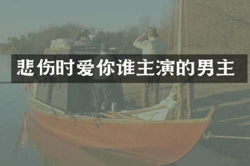 悲伤时爱你谁主演的男主