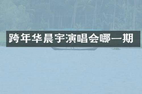 跨年华晨宇演唱会哪一期