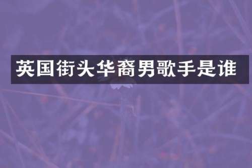 英国街头华裔男歌手是谁