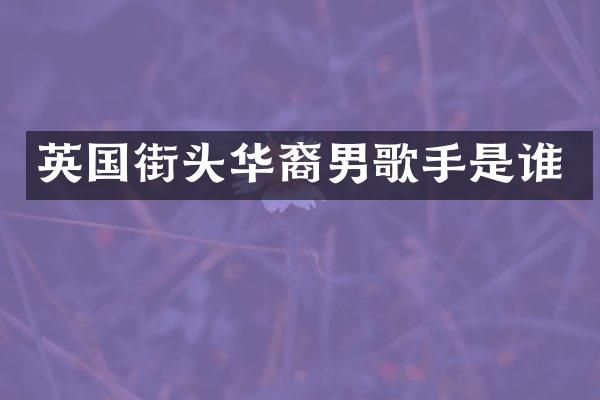 英国街头华裔男歌手是谁