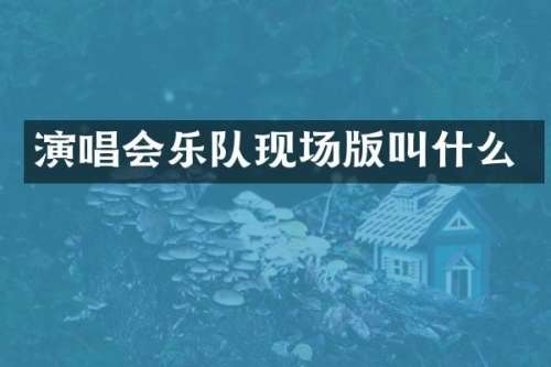演唱会乐队现场版叫什么