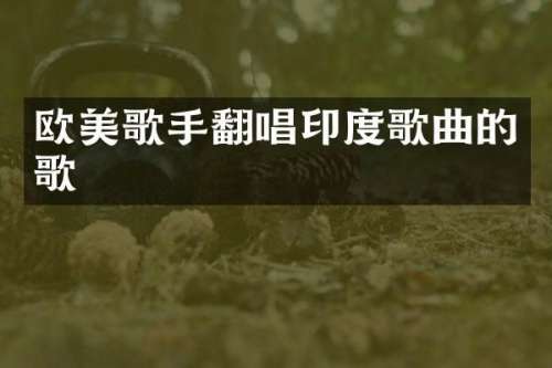 欧美歌手翻唱印度歌曲的歌