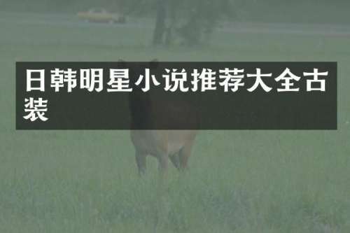 日韩明星小说推荐大全古装