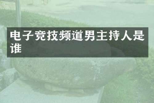 电子竞技频道男主持人是谁