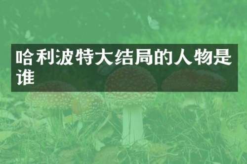 哈利波特大结局的人物是谁