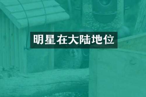 明星在大陆地位