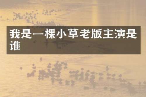 我是一棵小草老版主演是谁