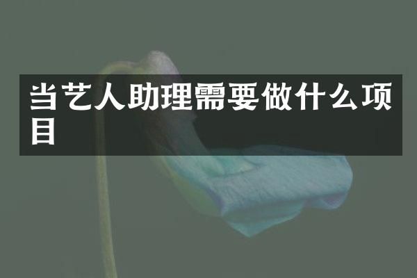 当艺人助理需要做什么项目