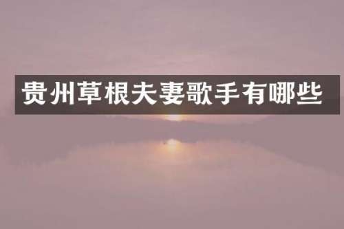 贵州草根夫妻歌手有哪些