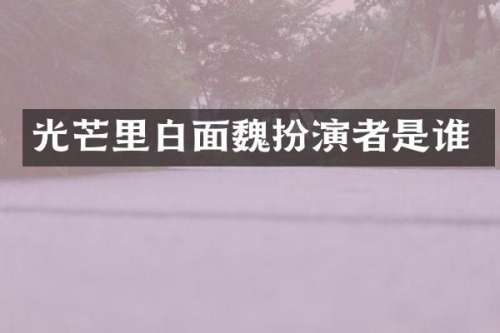 光芒里白面魏扮演者是谁