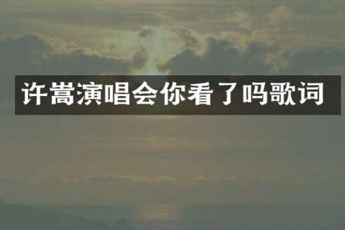 许嵩演唱会你看了吗歌词