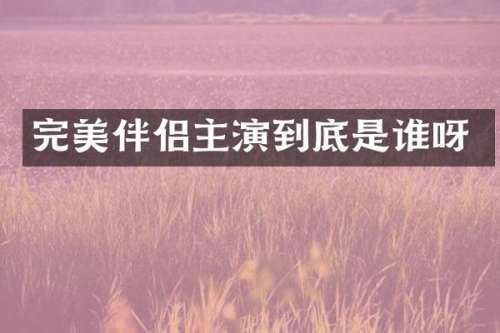 完美伴侣主演到底是谁呀