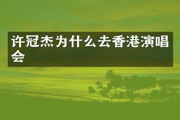 许冠杰为什么去香港演唱会