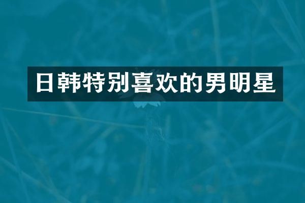 日韩特别喜欢的男明星