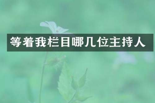 等着我栏目哪几位主持人