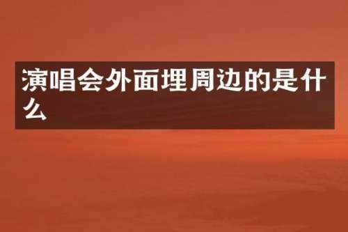 演唱会外面埋周边的是什么